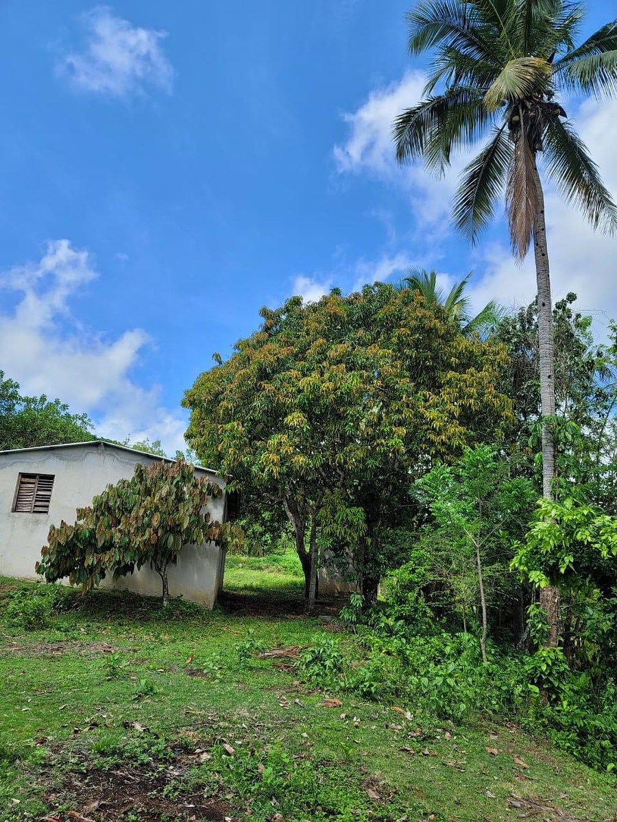 Finca en Yamasá, foto 4 de 9