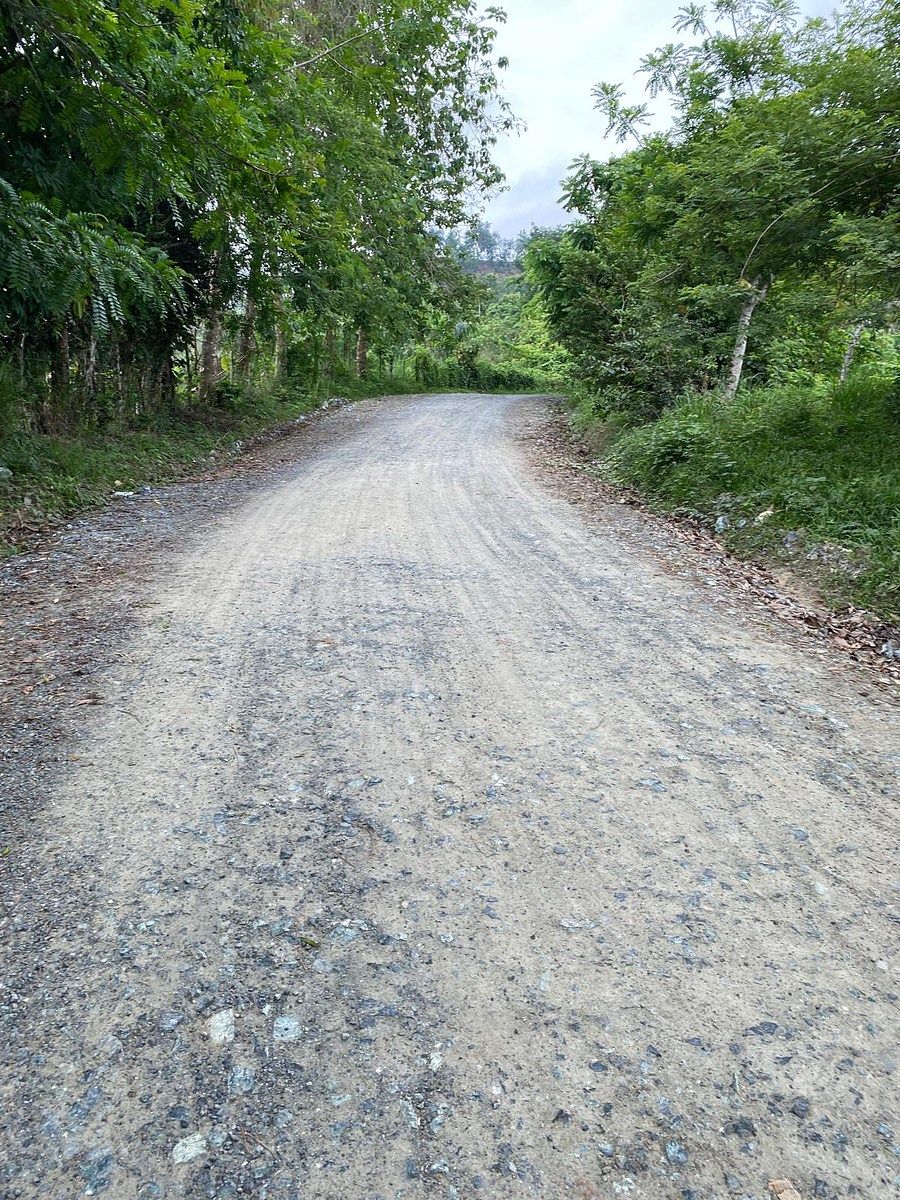 Finca en Yamasá, foto 7 de 9