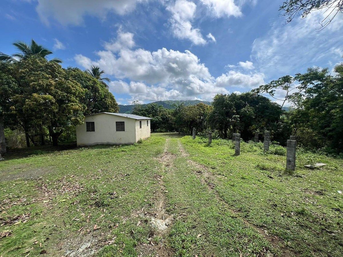 Finca en Yamasá, foto 8 de 9