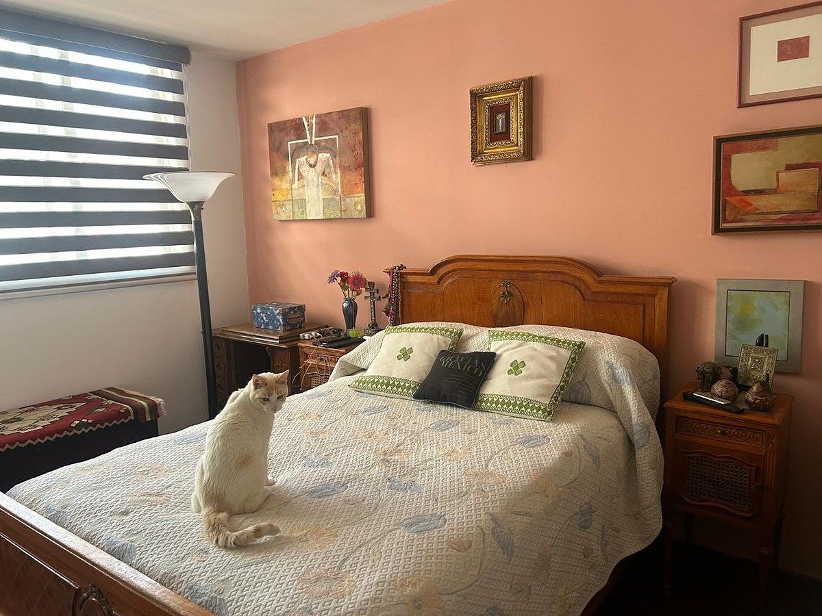 Apartment in Cuauhtémoc, Cuauhtémoc, photo 2 of 11