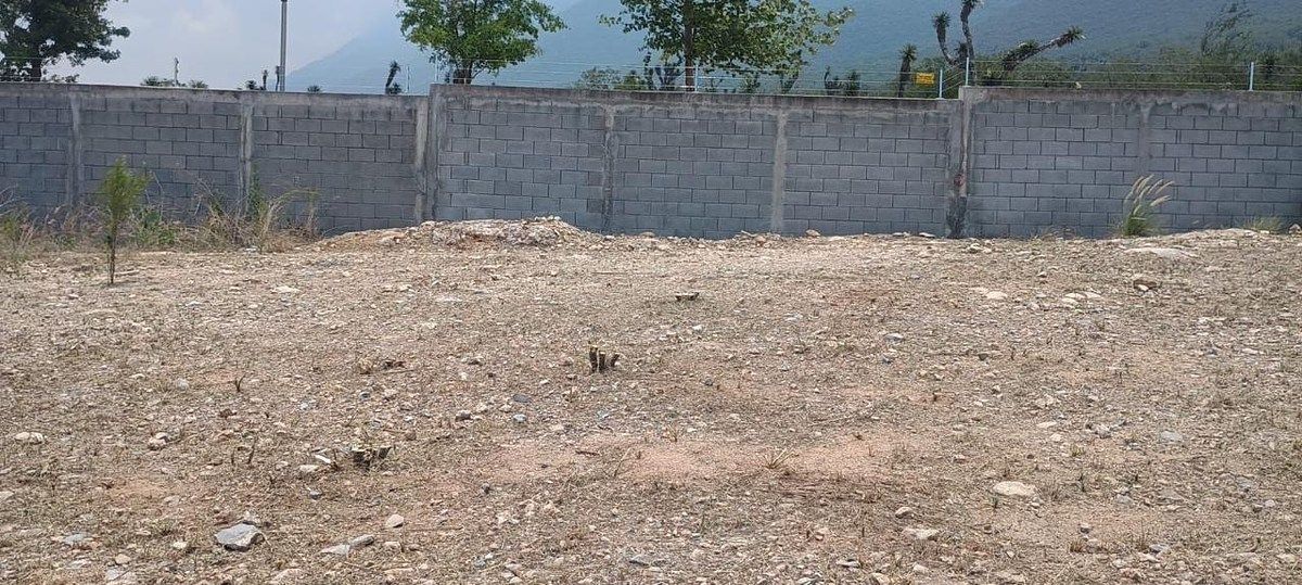 Terreno en Solana Residencial, García, foto 2 de 9