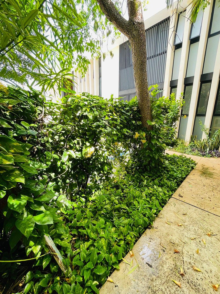 Apartment in MONTEBELLO ground floor, photo 1 of 11