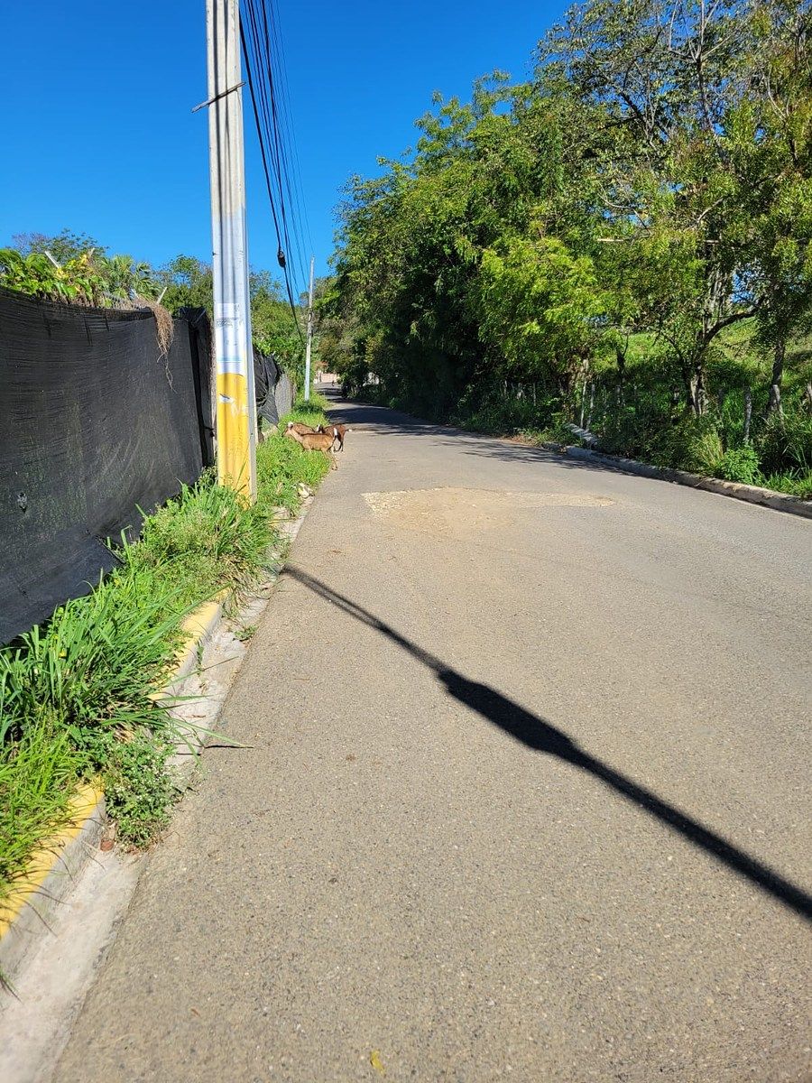 Terreno en Santiago de los Caballeros, foto 3 de 5