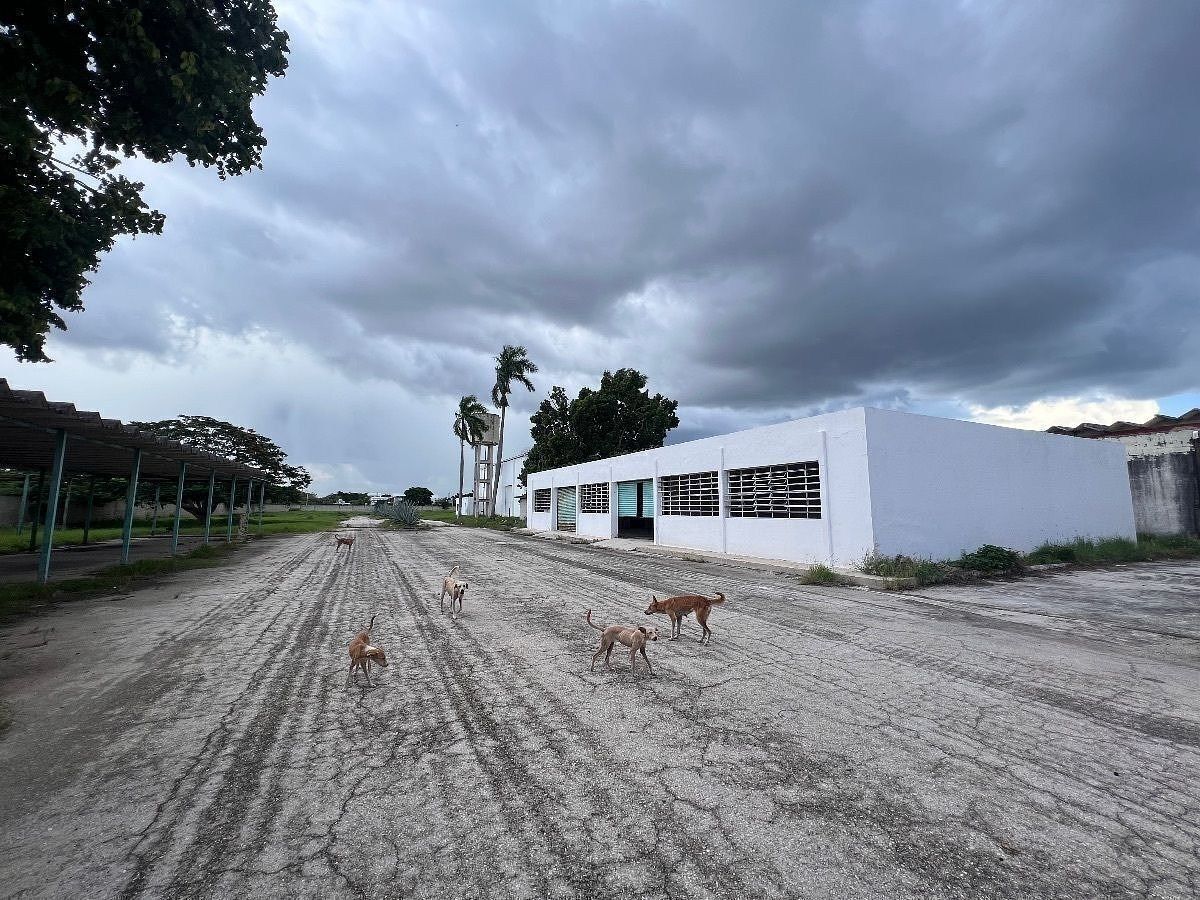 Prédio industrial em Mayapan, Mérida, foto 8 de 11