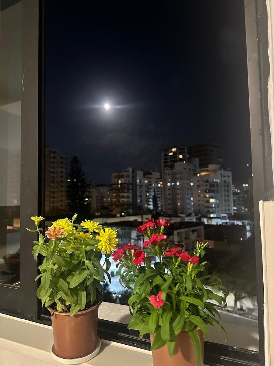 Apartamento en Ensanche Naco, Santo Domingo Centro (Distrito Nacional), foto 9 de 20