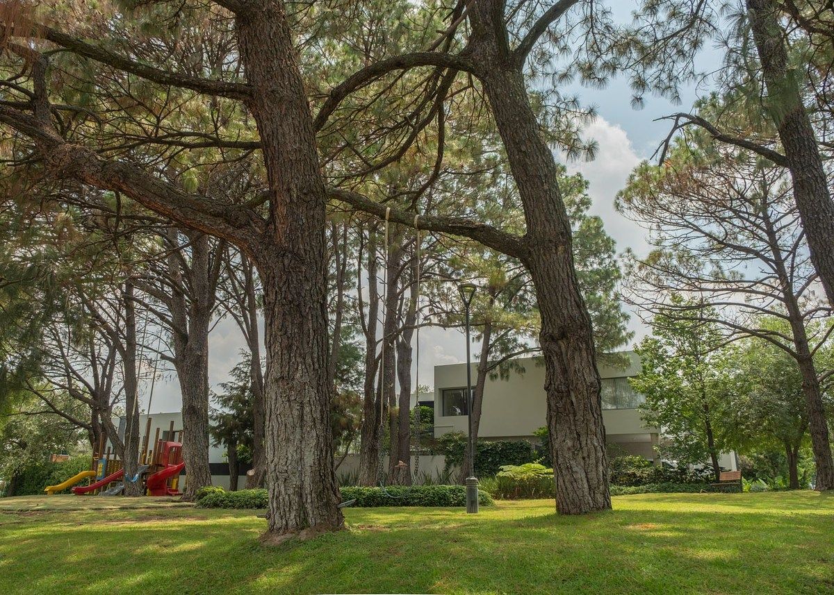 Casa em Puerta Plata, Zapopan, foto 29 de 35