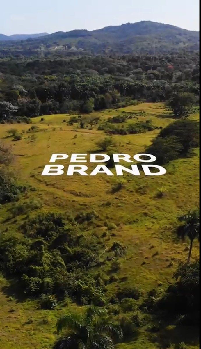 Terreno en Pedro Brand, foto 2 de 2