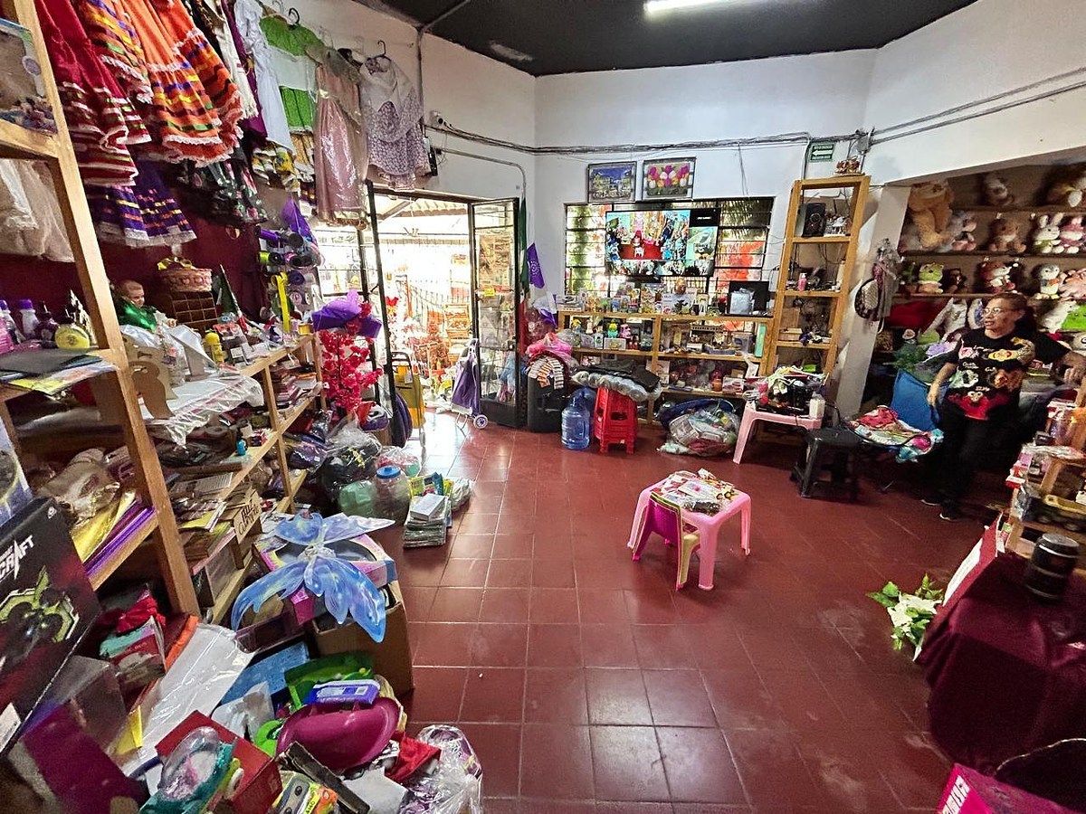 House in Chapala Centro, Chapala, photo 10 of 10
