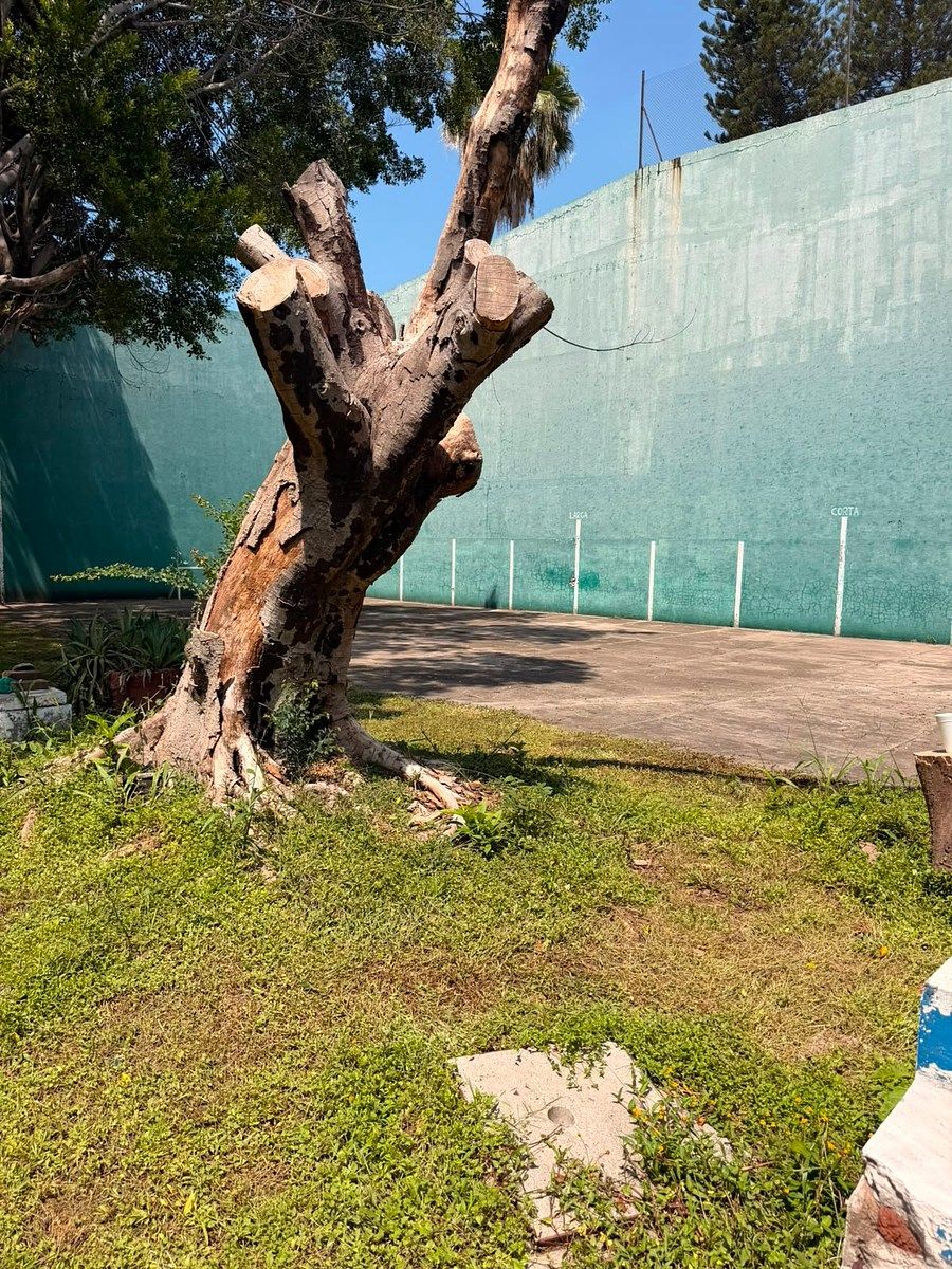 House in Real del Puente, Xochitepec, photo 23 of 26