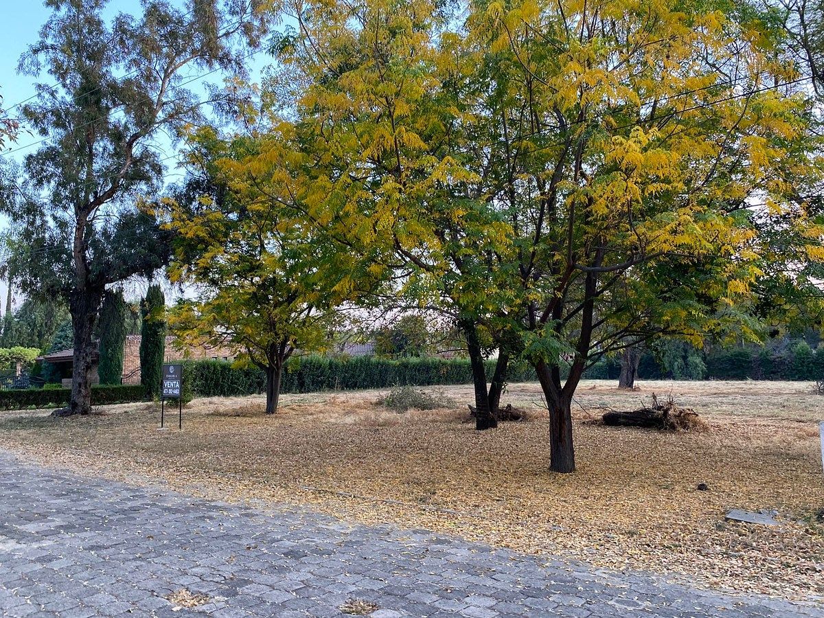 Terreno en La Herradura, León, foto 3 de 4