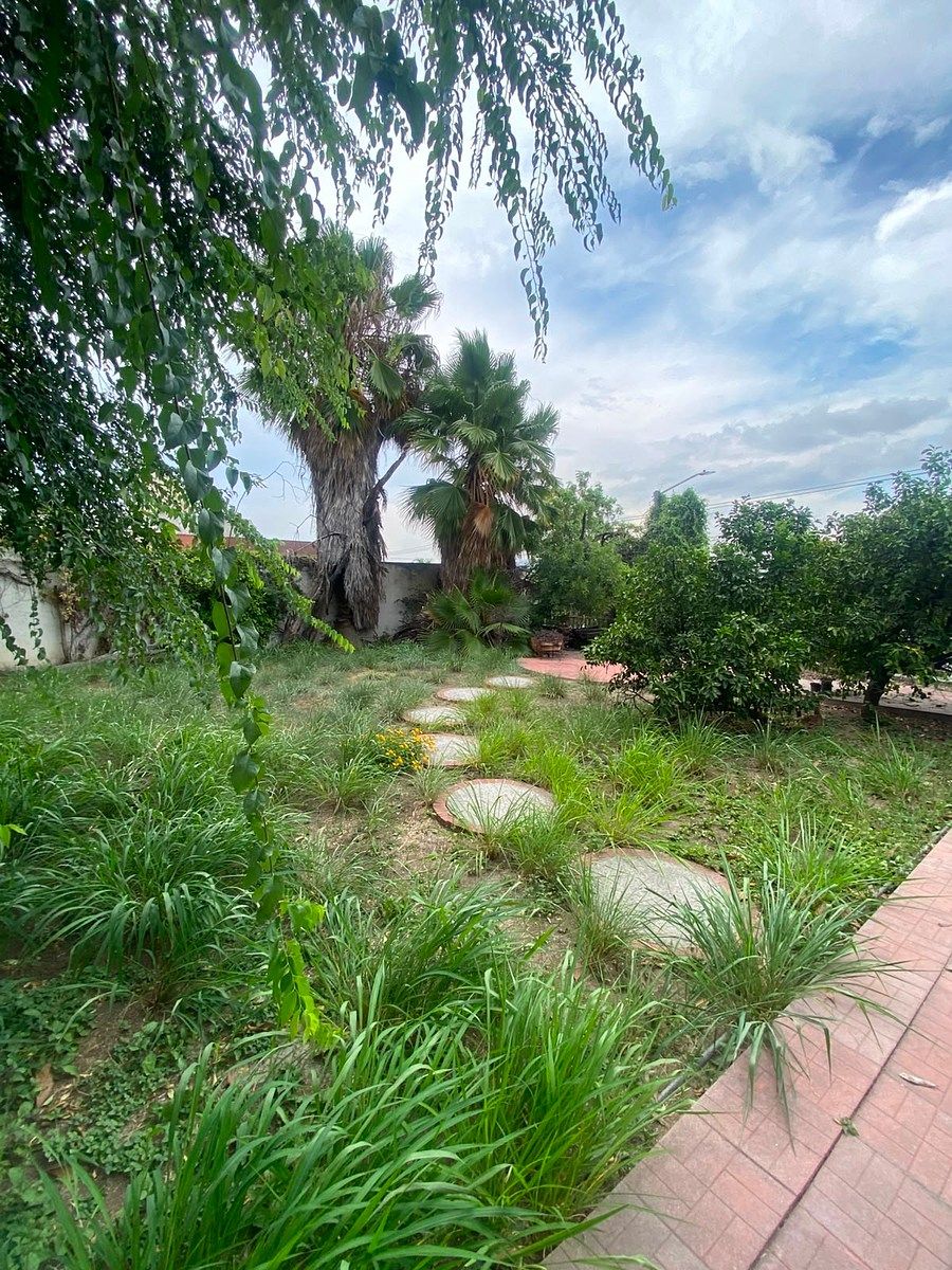 House in Vista Hermosa, Monterrey, photo 3 of 8