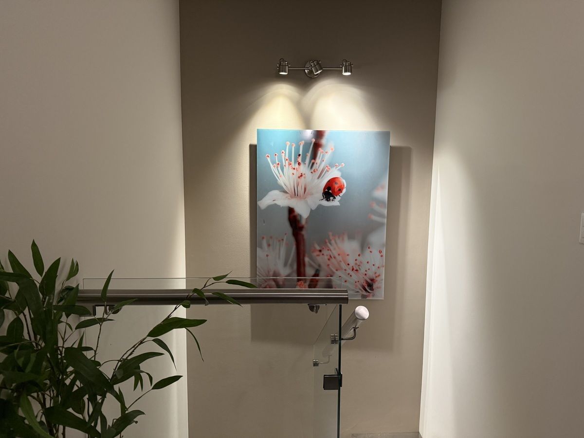 Casa en Zákia, El Marqués, foto 10 de 21