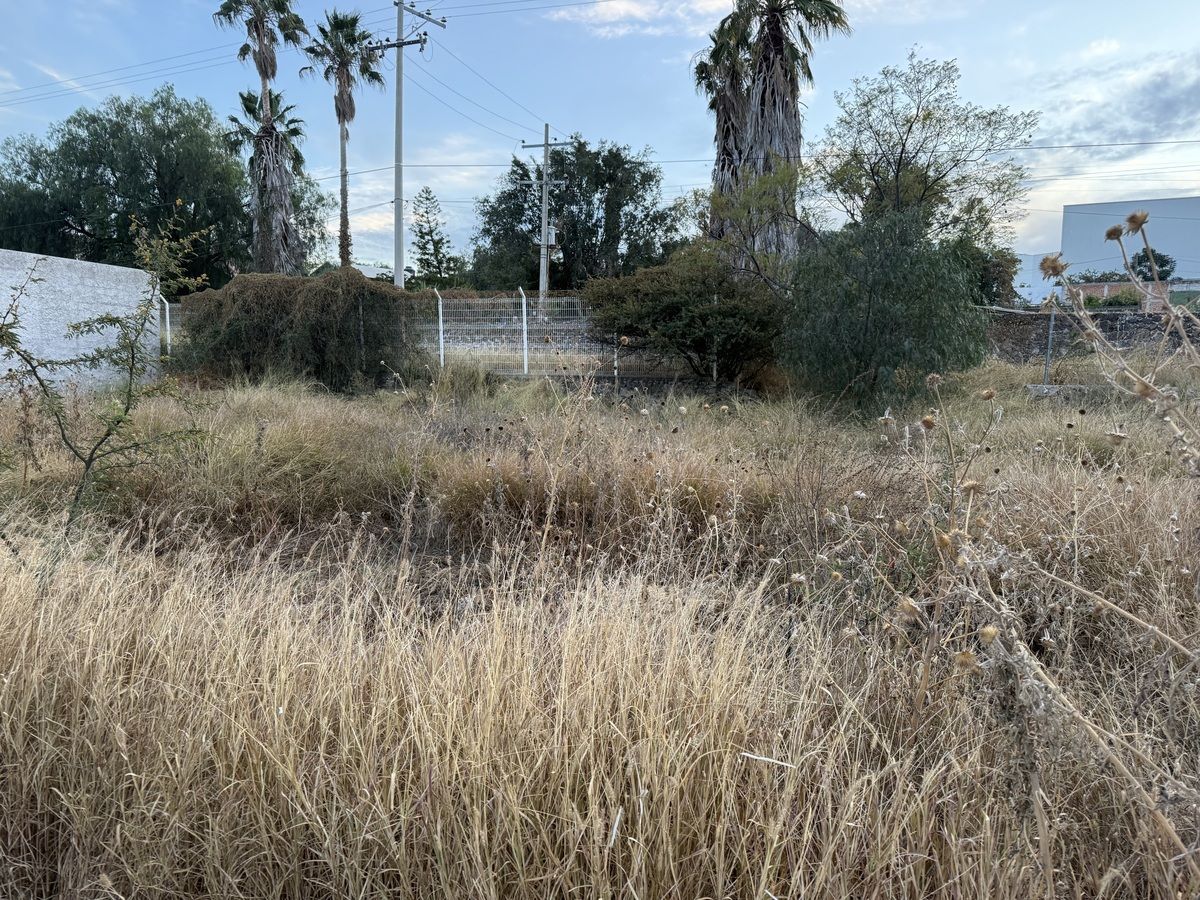 Terreno en Mediterráneo I, Corregidora, foto 5 de 6