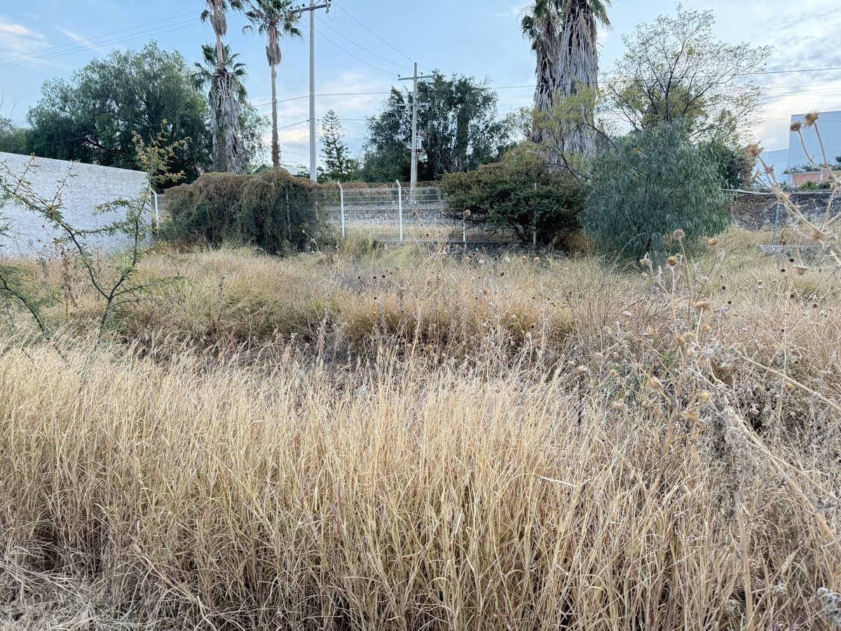 Terreno en Mediterráneo I, Corregidora, foto 6 de 6
