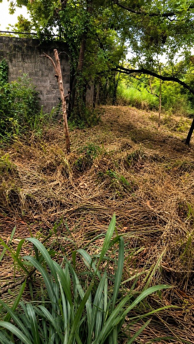 SOLAR EN VENTA, foto 1 de 2