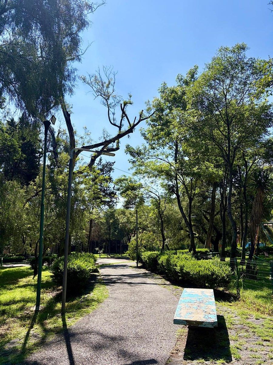 Casa en Lomas de San Ángel Inn, Álvaro Obregón, foto 21 de 26