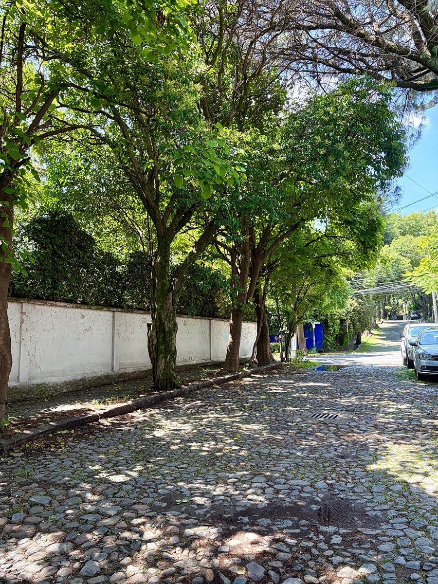 Casa en Lomas de San Ángel Inn, Álvaro Obregón, foto 26 de 26