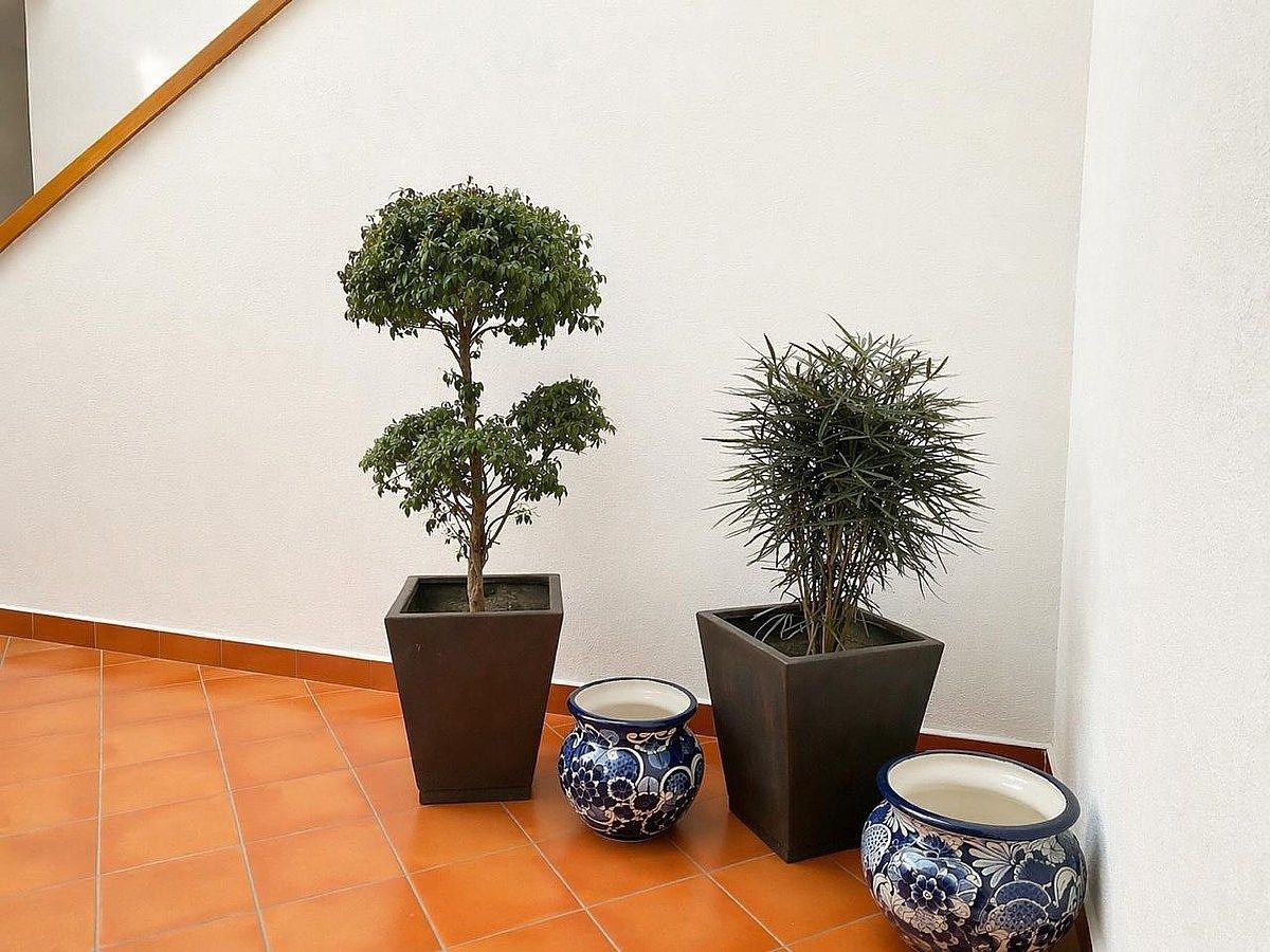 House in Gated Community in Santa Fe La Loma, Álvaro Obregón, photo 10 of 17