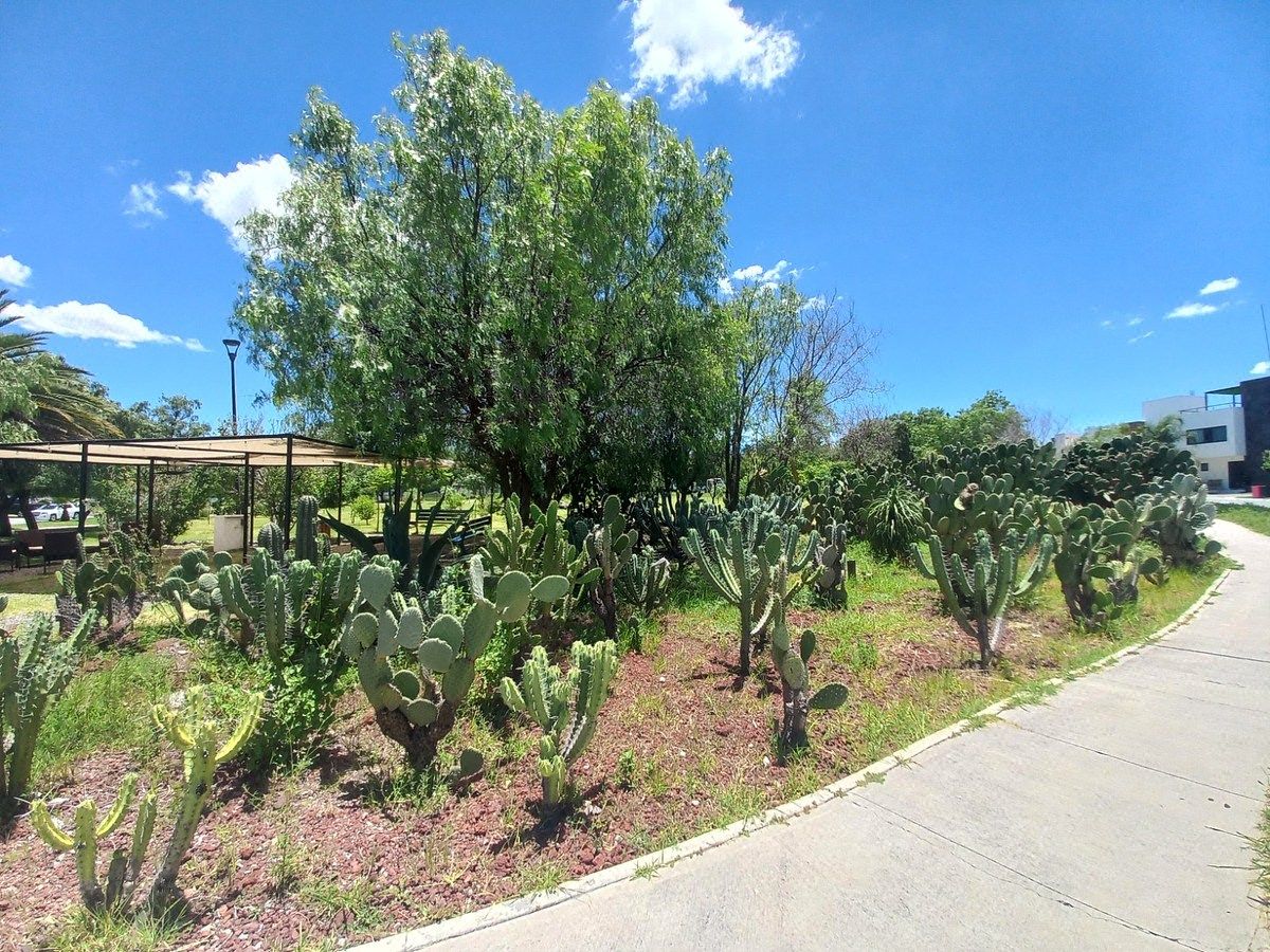 Lot in Grand Juriquilla, Querétaro, photo 19 of 36