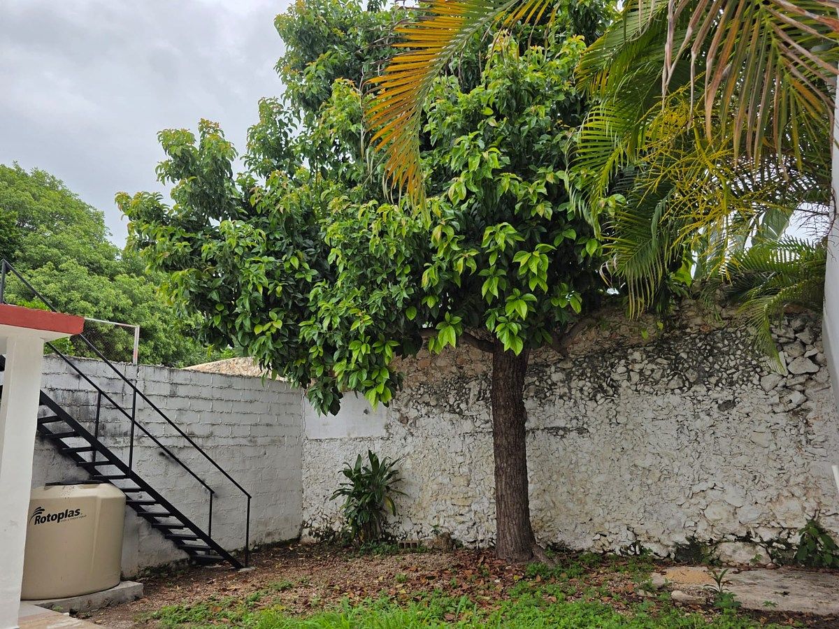 Casa en Mérida Centro, Mérida, foto 6 de 18
