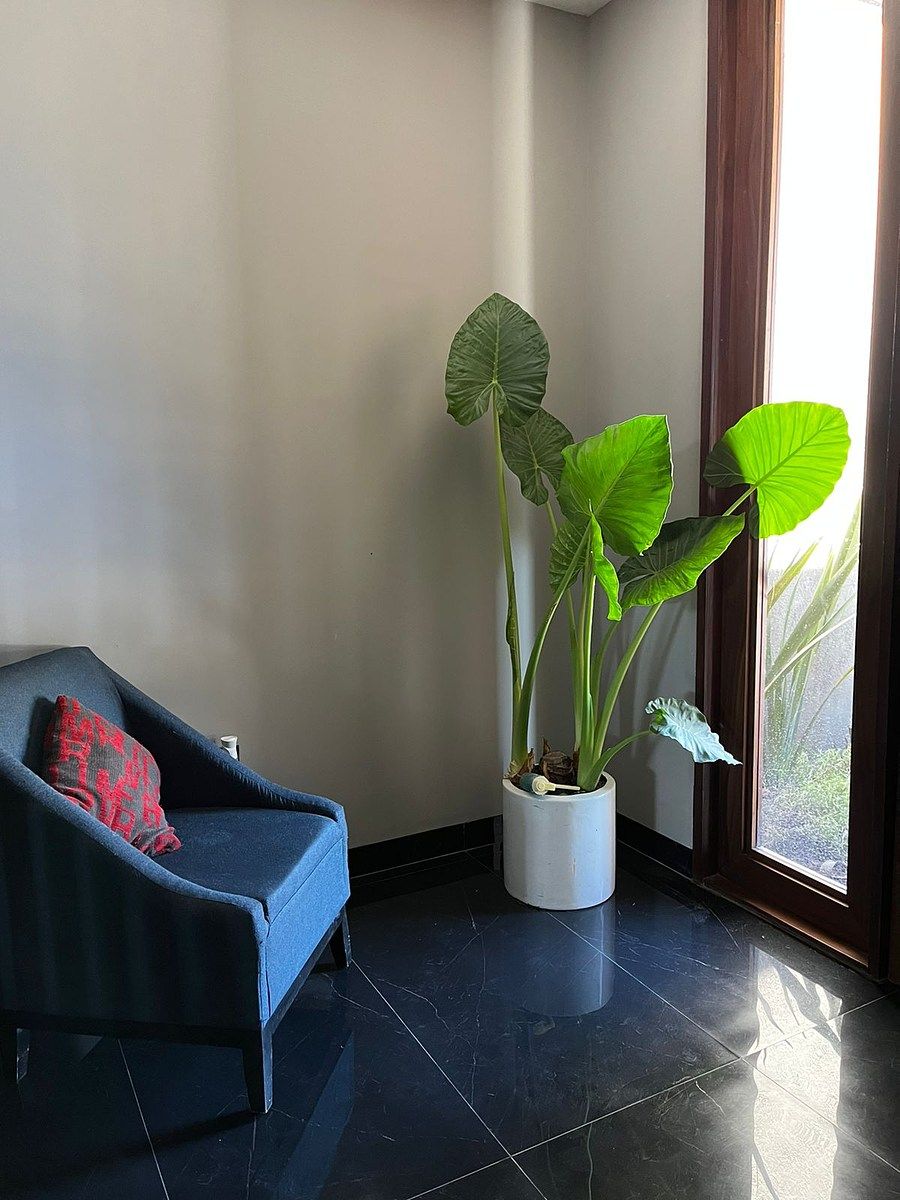 Casa en Lomas de Juriquilla, Querétaro, foto 11 de 19
