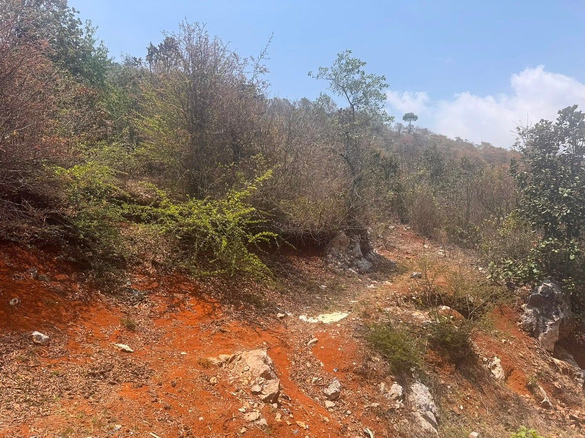 Terreno en María Auxiliadora, San Cristóbal de Las Casas, foto 2 de 6