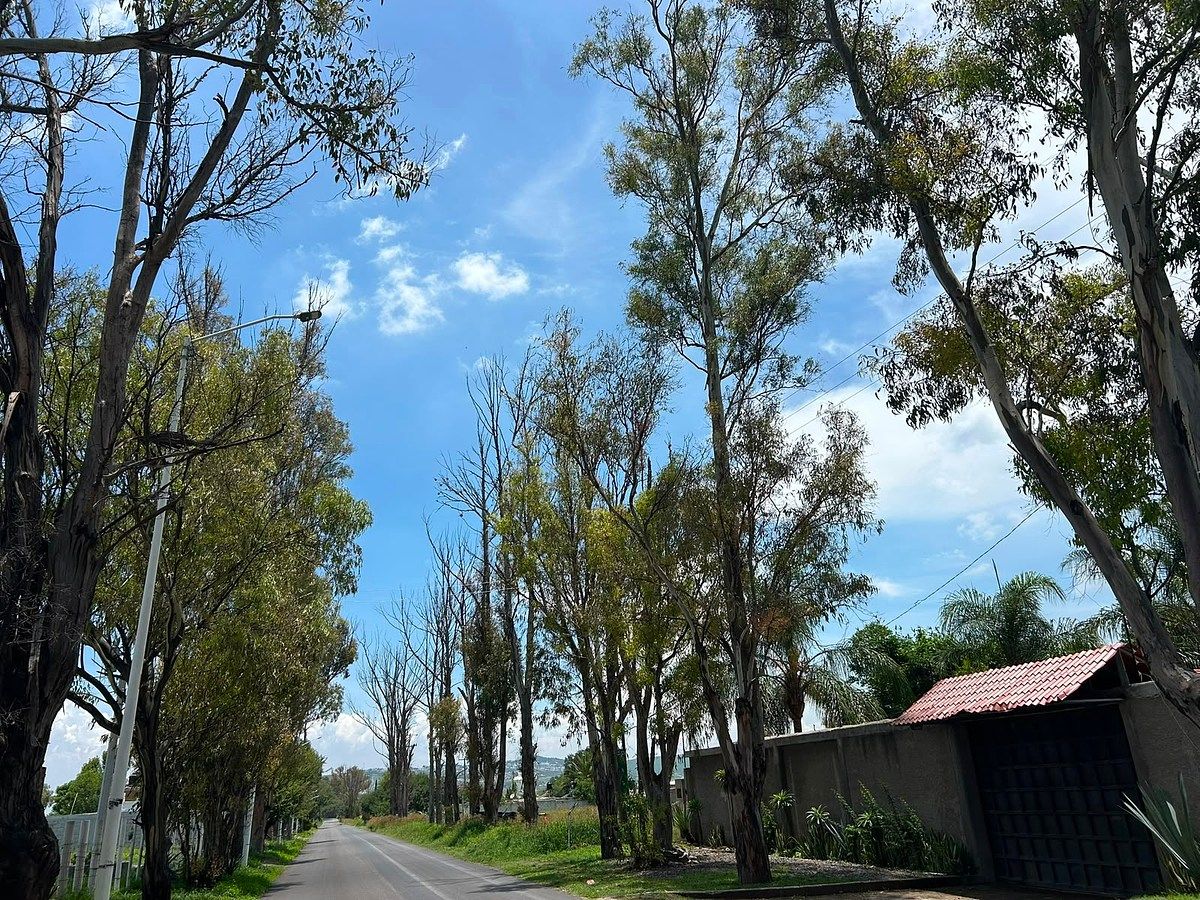 Casa en Purísima de San Rafael, Corregidora, foto 7 de 12