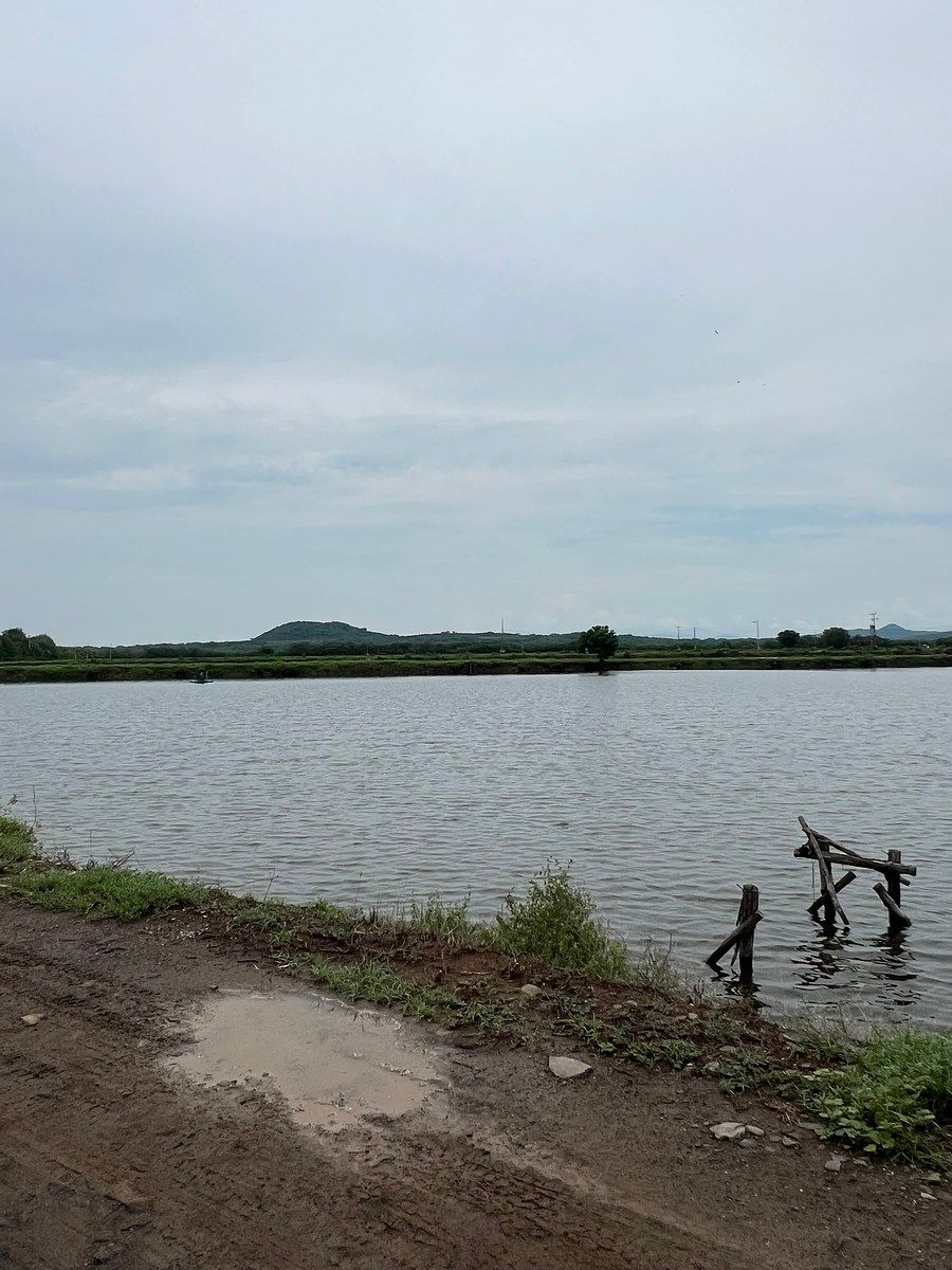 Aquaculture Farm for Sale, photo 1 of 14