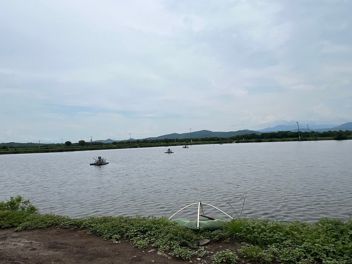Lot in Guadalupe Victoria, San Blas, photo 3 of 14
