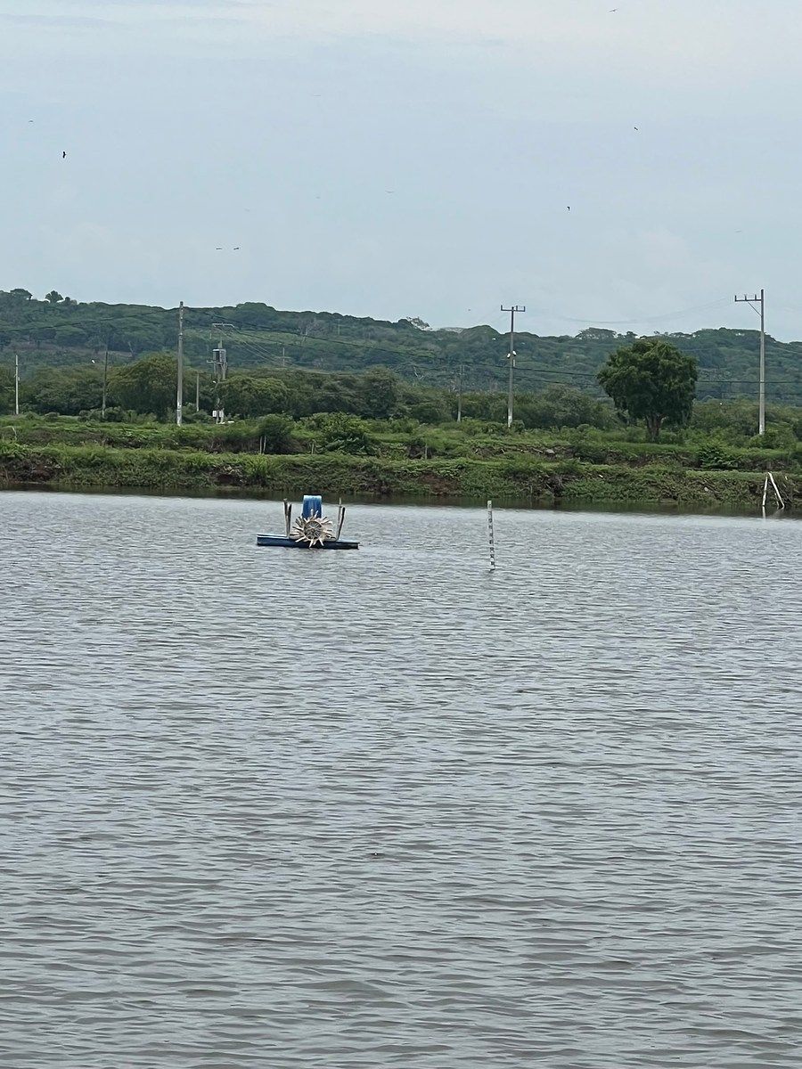 Lot in Guadalupe Victoria, San Blas, photo 4 of 14