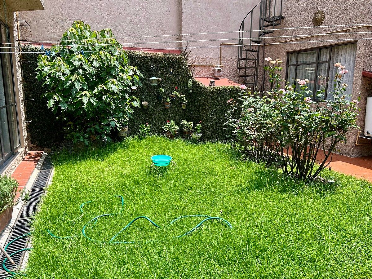 Jardín, foto 14 de 20