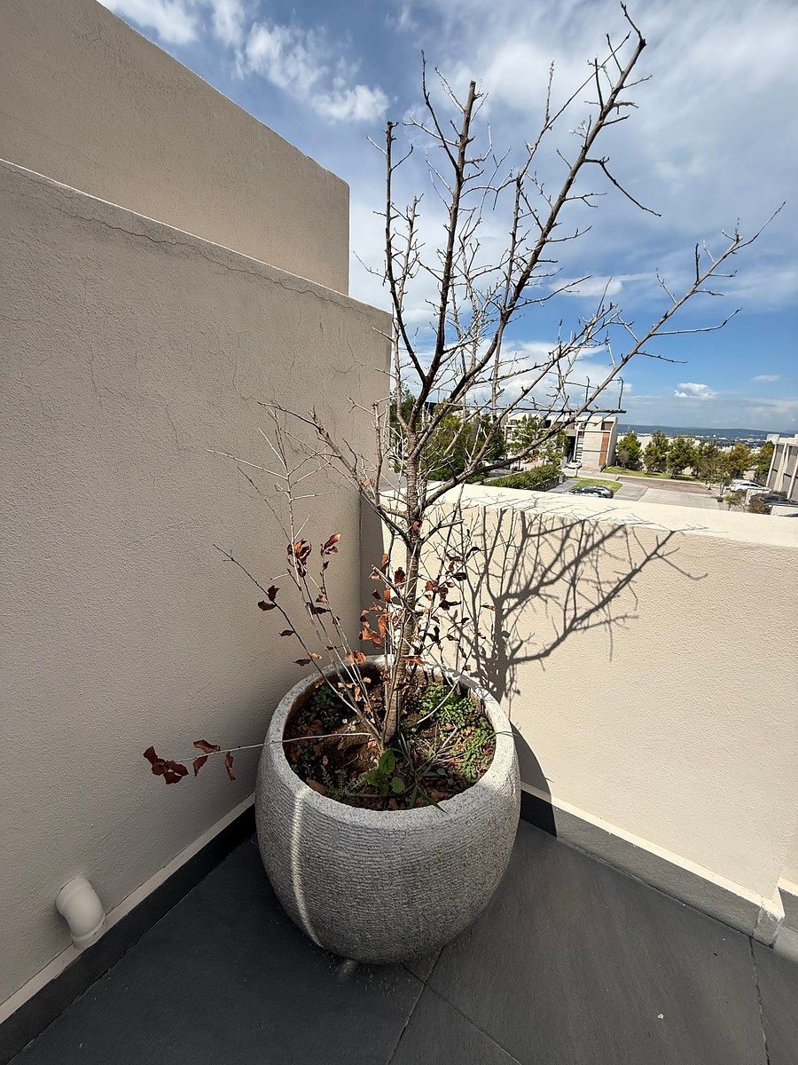 Exterior de terraza, foto 18 de 20