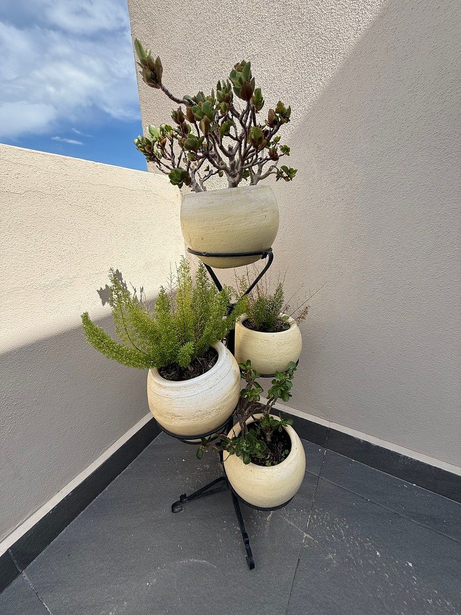 Terraza, foto 19 de 20