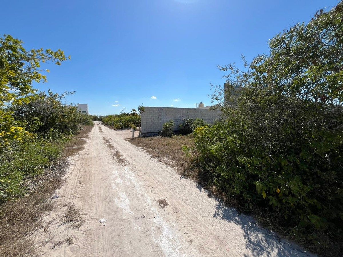 Lote em San Benito, Dzemul, foto 2 de 2