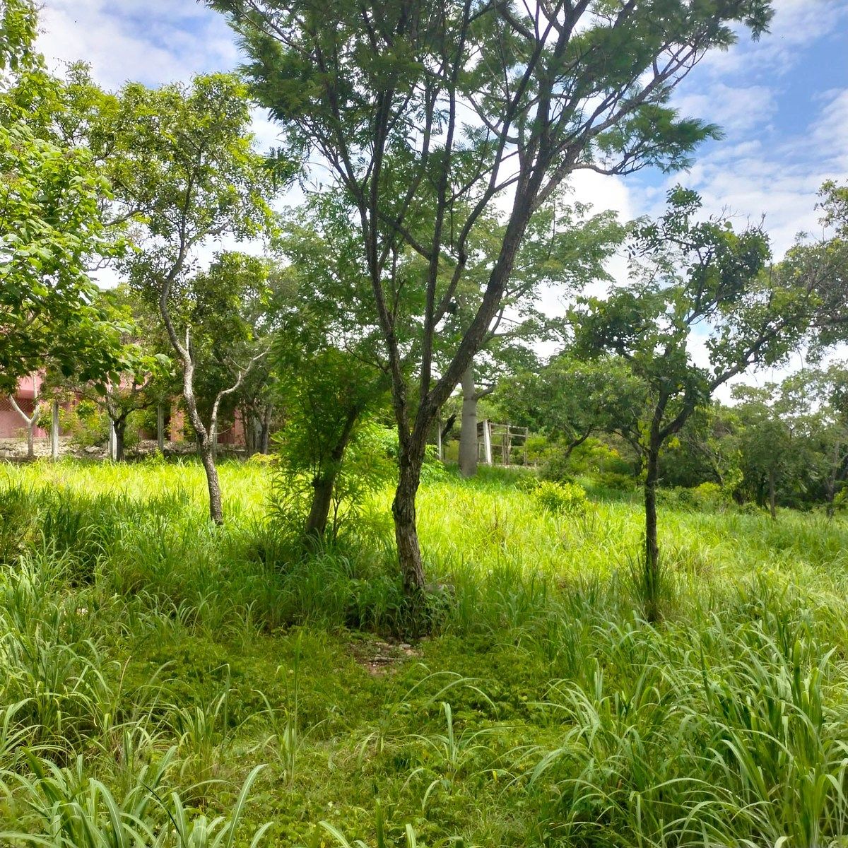 Lote em El Jobo, Tuxtla Gutiérrez, foto 14 de 16