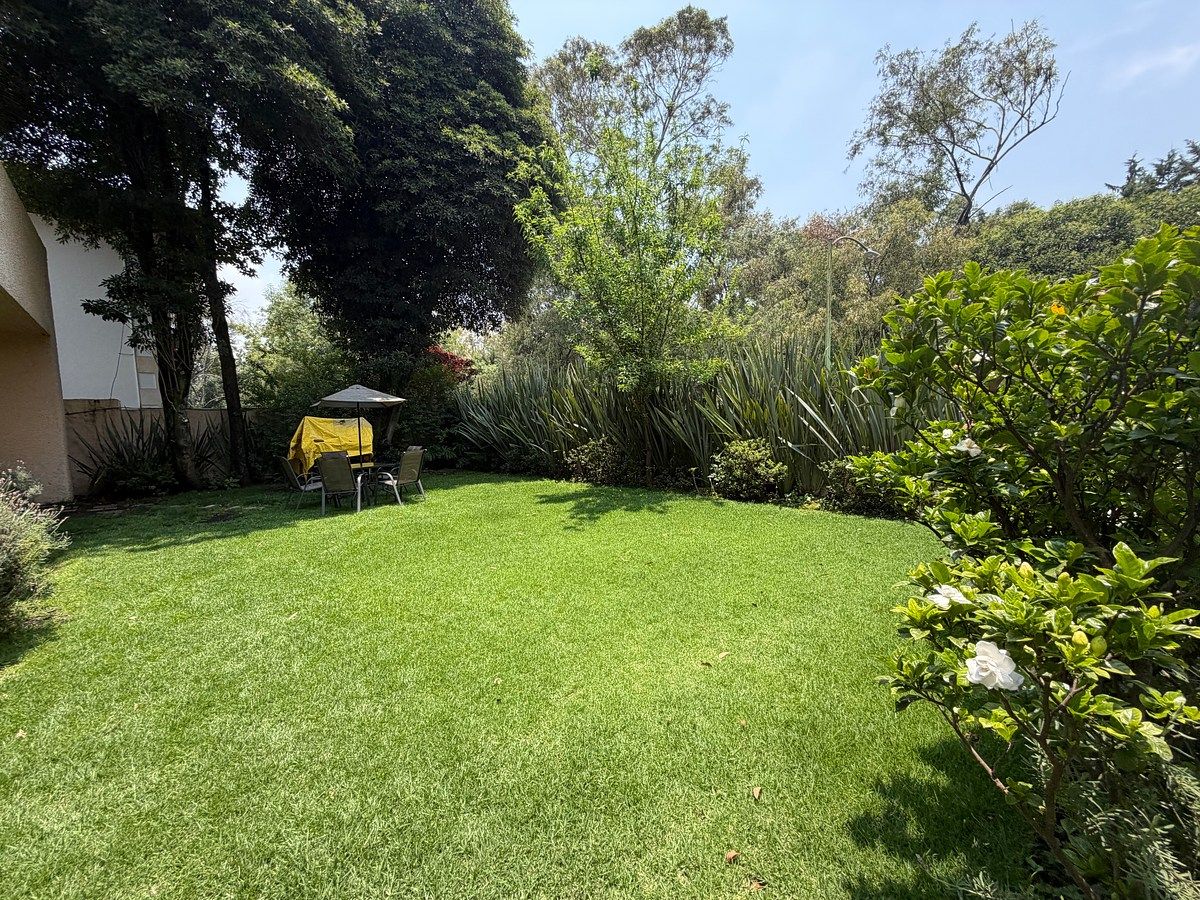 Jardín, foto 5 de 23