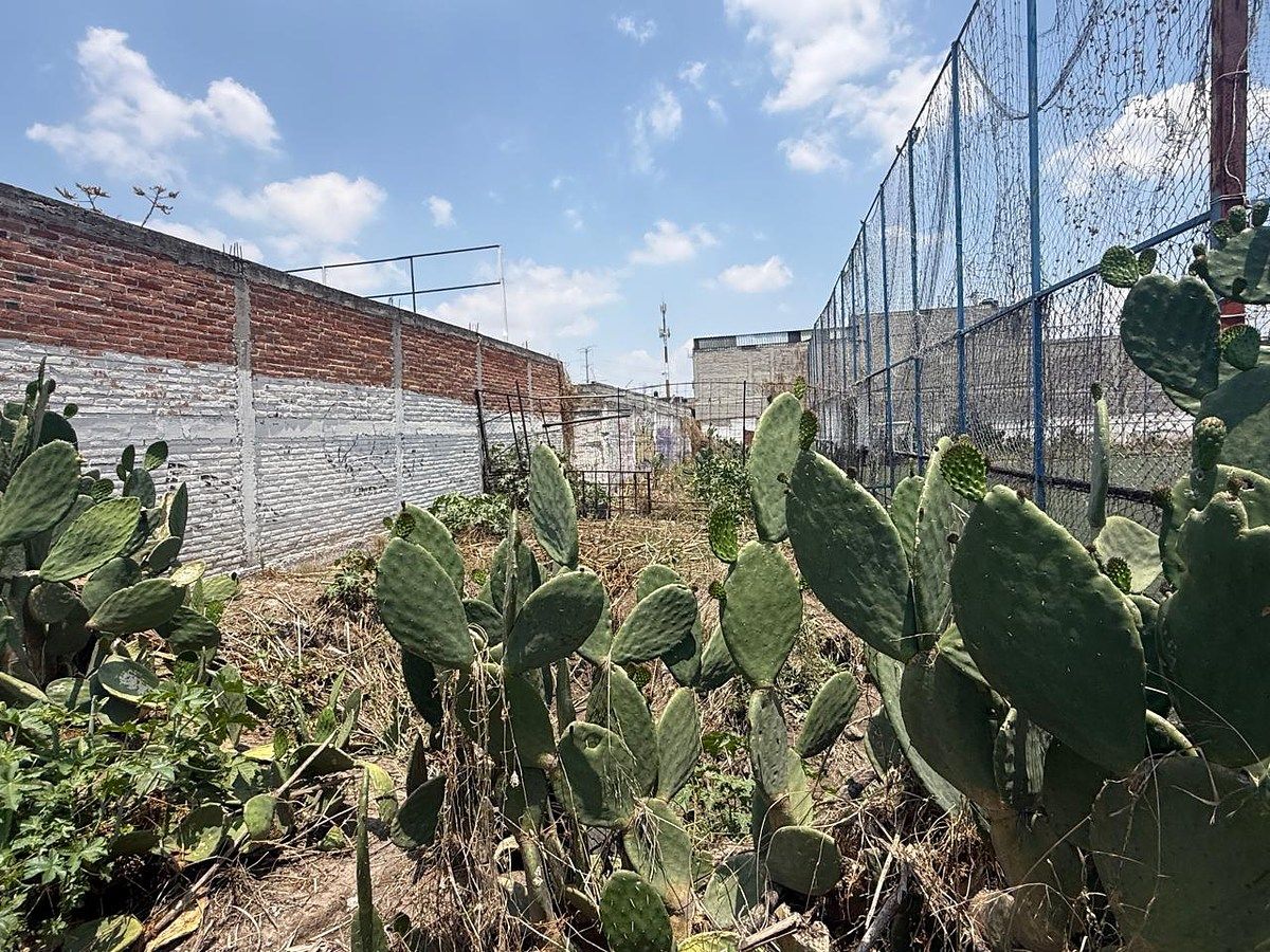 Lot in San Francisco de Asís, Ecatepec de Morelos, photo 3 of 8