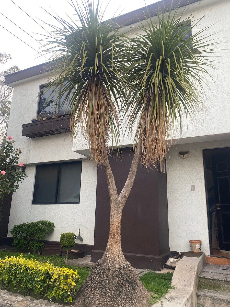 Casa en condominio en Bosques de Moctezuma, Naucalpan de Juárez, foto 41 de 41