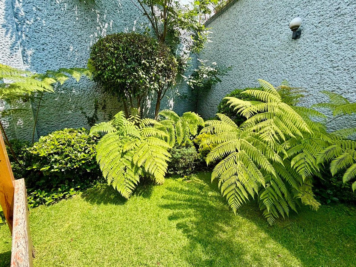 Casa en Parque del Pedregal, Tlalpan, foto 20 de 31