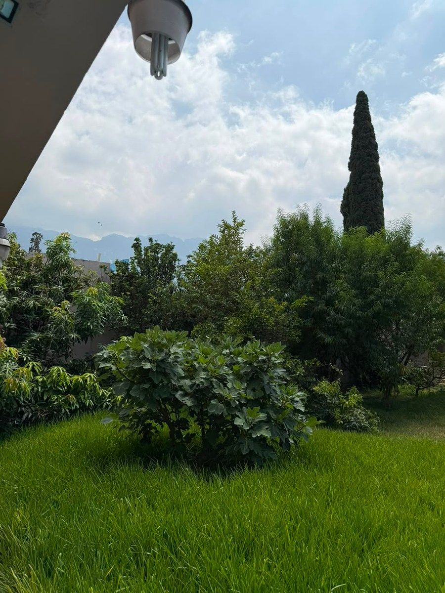 Terreno en Del Valle, San Pedro Garza García, foto 6 de 19