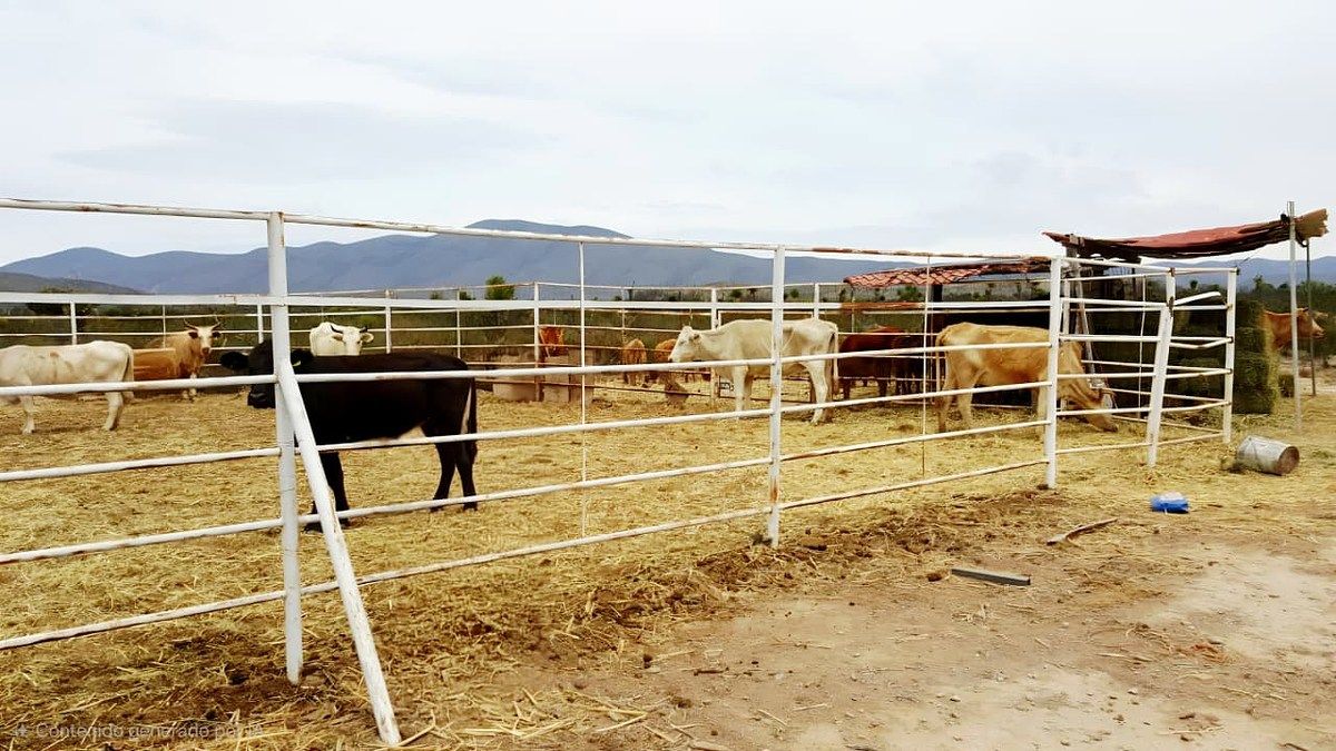 Rancho en Galeana, Galeana, foto 2 de 17