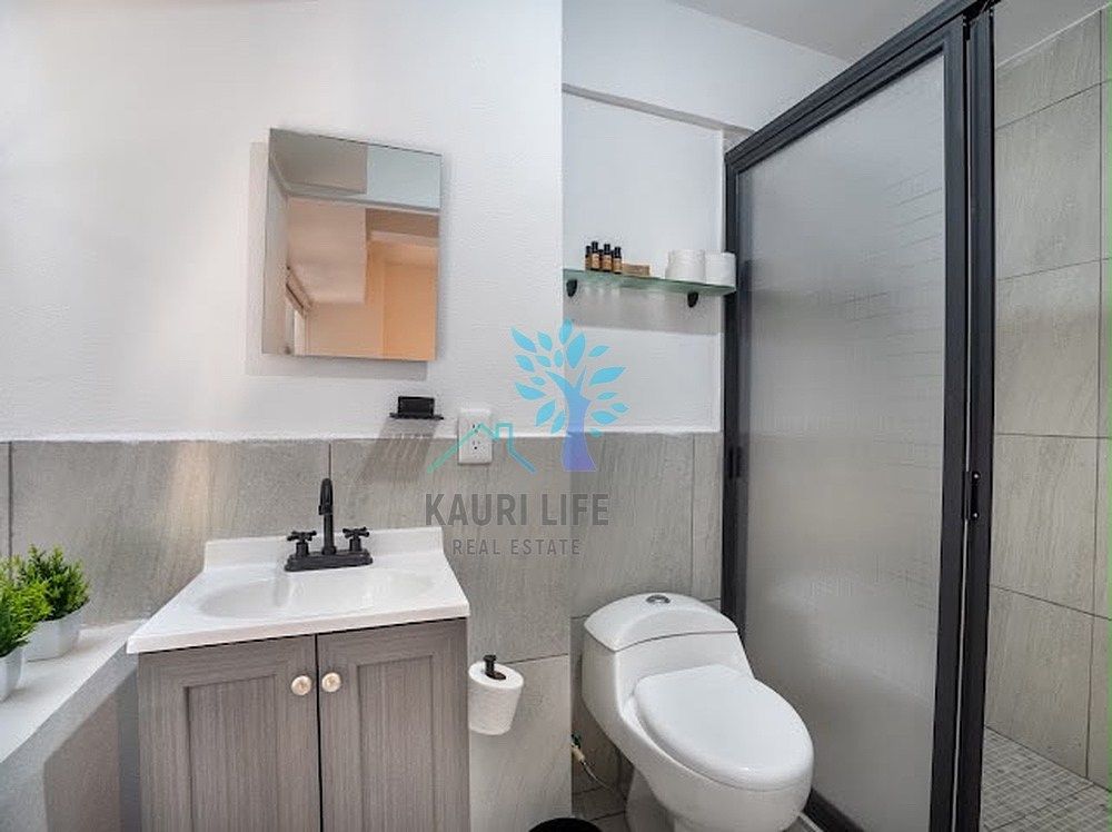 Apartment in Roma Norte, Cuauhtémoc, photo 4 of 5