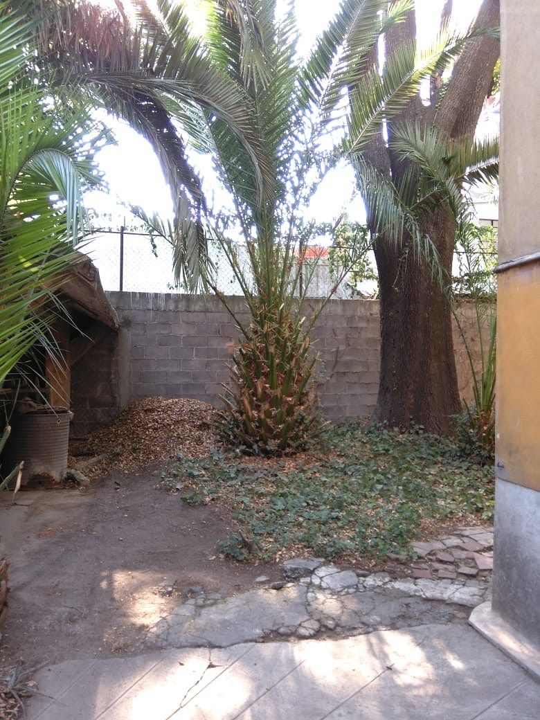 Lote em Del Valle Norte, Benito Juárez, foto 5 de 10
