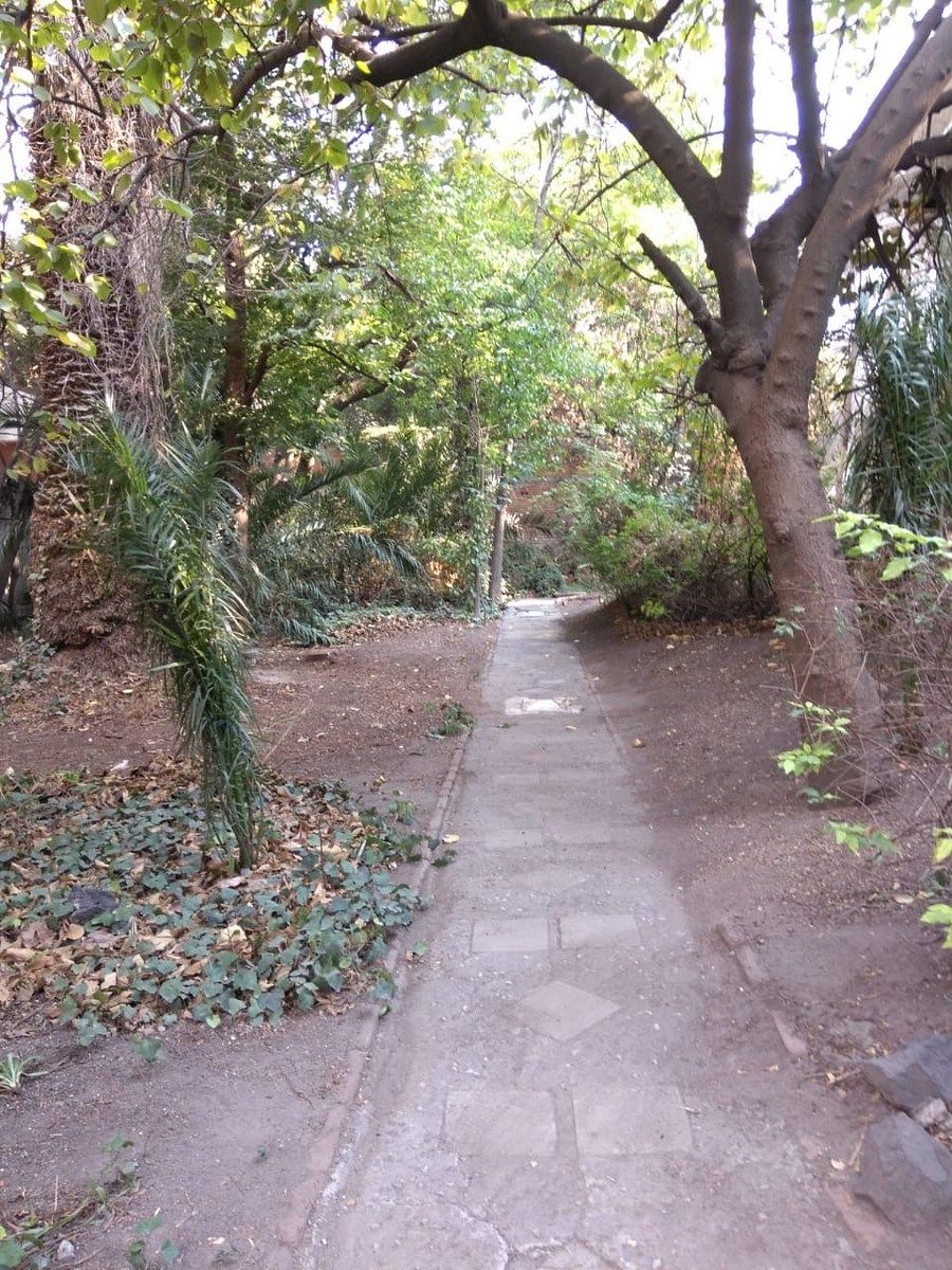 Lote em Del Valle Norte, Benito Juárez, foto 6 de 10