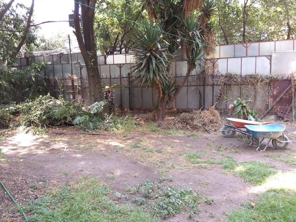 Lote em Del Valle Norte, Benito Juárez, foto 7 de 10
