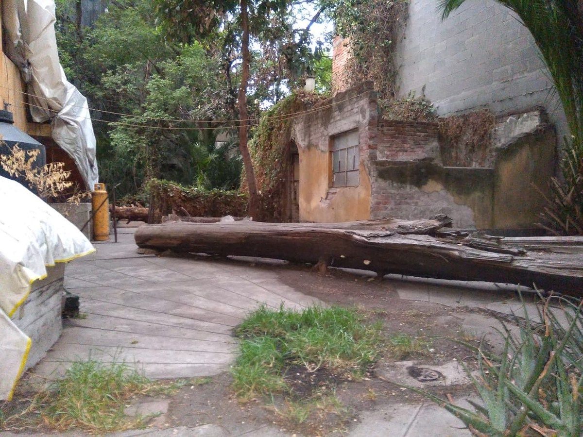 Lote em Del Valle Norte, Benito Juárez, foto 9 de 10