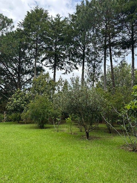 Casa em Tapalpa, Tapalpa, foto 10 de 22