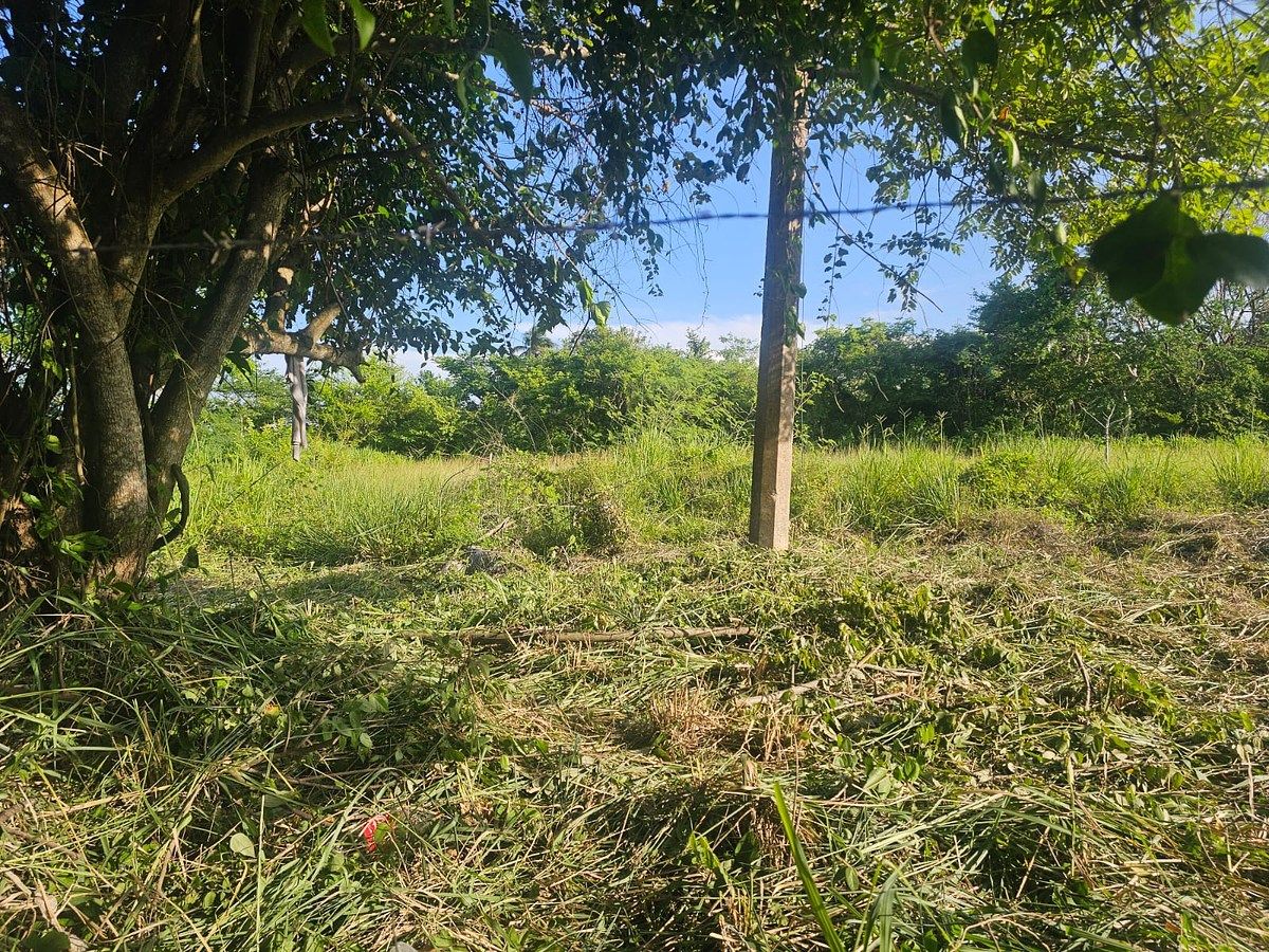 Lot in 1ro de Mayo, Tuxpan, photo 4 of 6