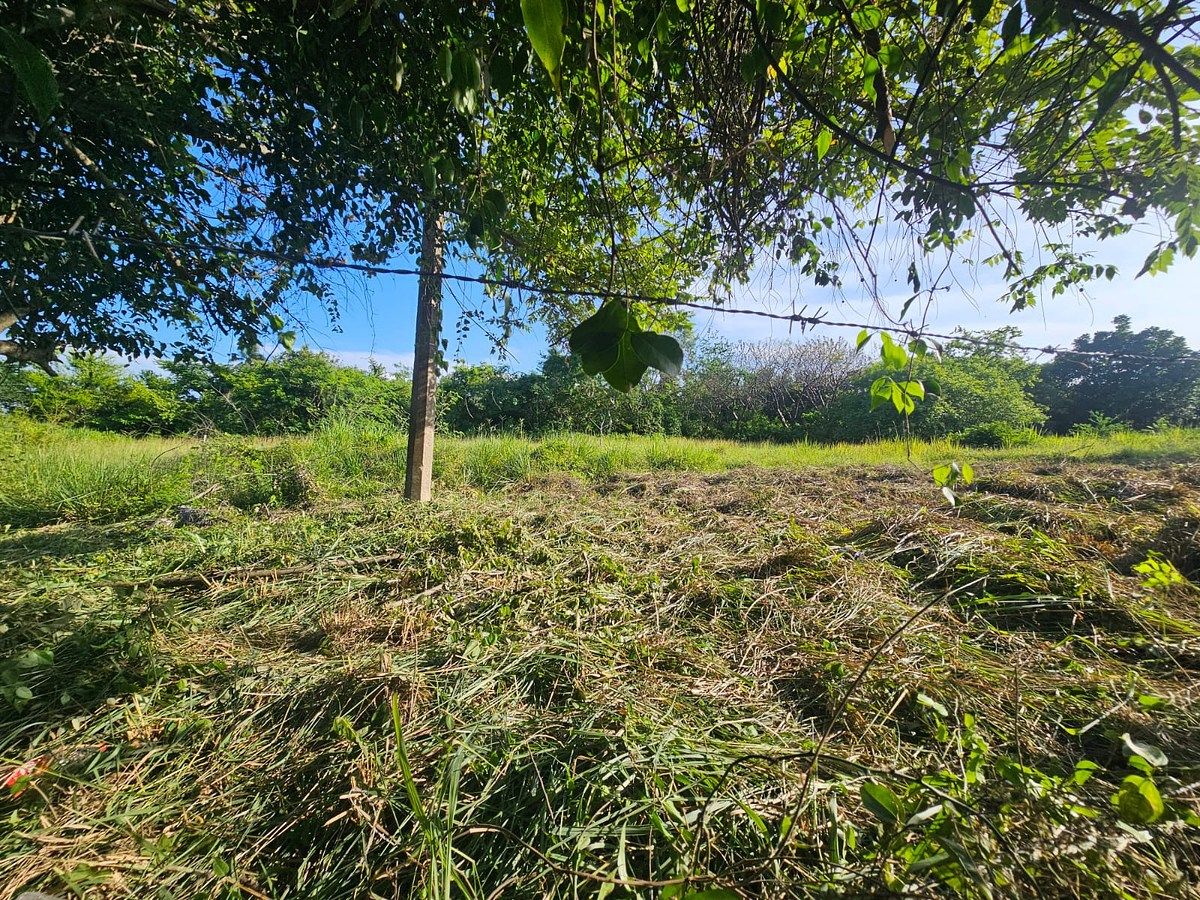 Lot in 1ro de Mayo, Tuxpan, photo 5 of 6