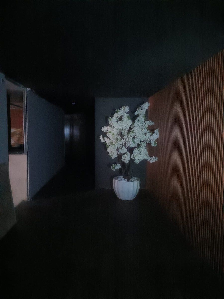 Retail Space in Ladrón de Guevara, Guadalajara, photo 12 of 14